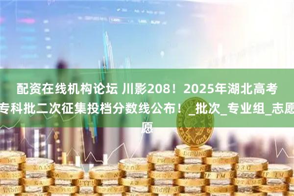配资在线机构论坛 川影208！2025年湖北高考专科批二次征集投档分数线公布！_批次_专业组_志愿